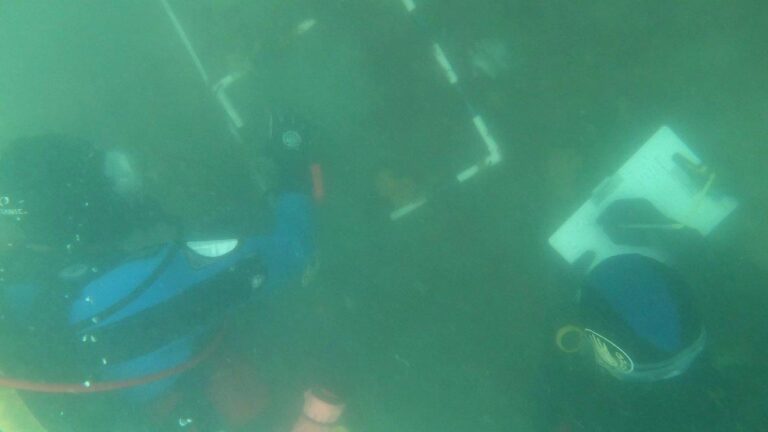Underwater surveyor training