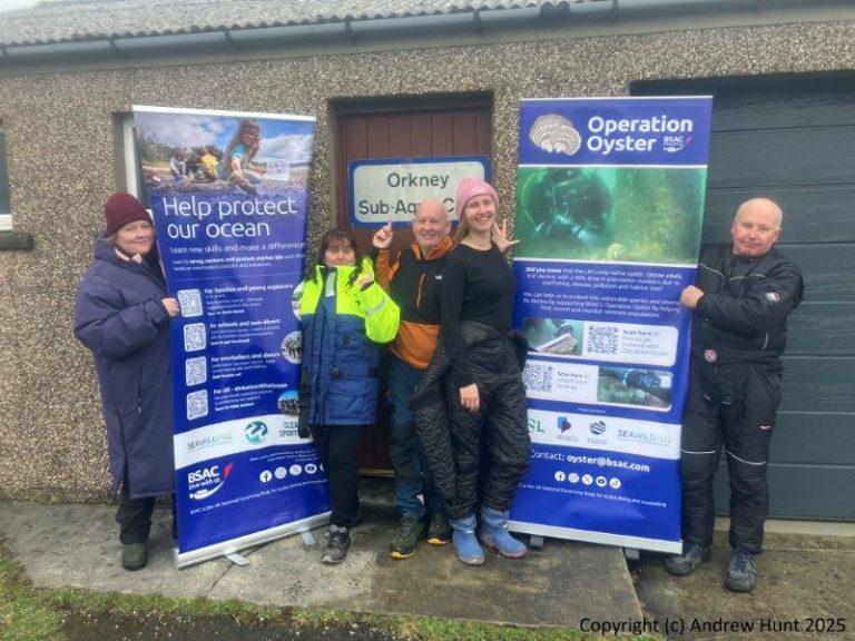 Training clubs to support projects