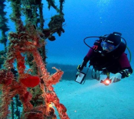 Cypriot research project