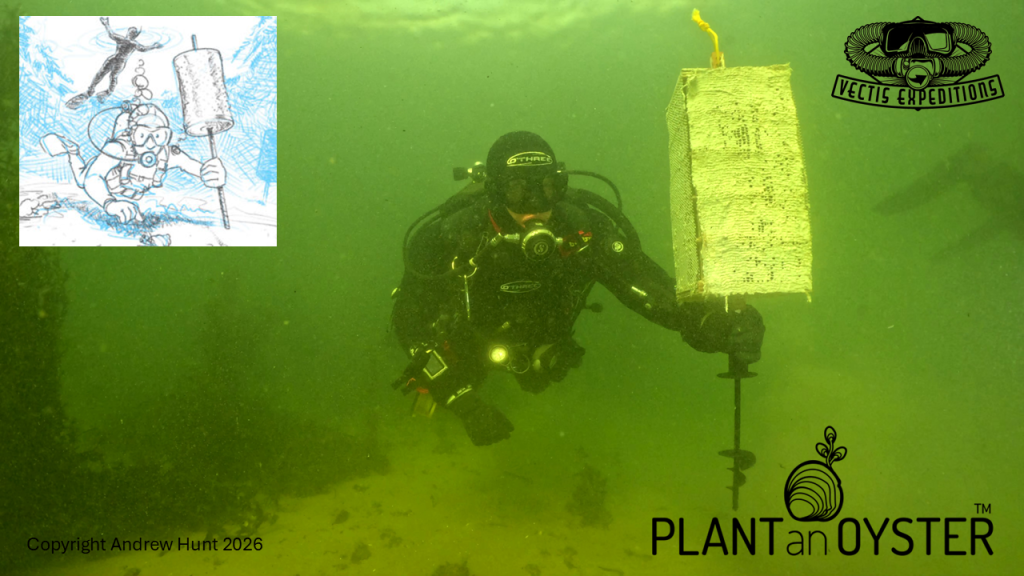 Volunteer diver supporting Plant an Oyster