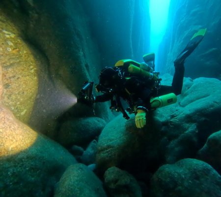 Diver in the Sawcut