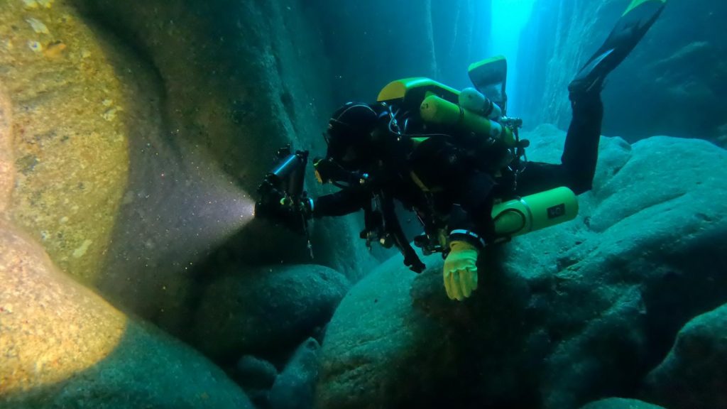 Diver in the Sawcut