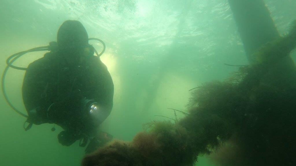 Everyday expeditions dive off the Isle of Wight