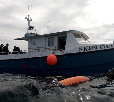 Skin Deep - our DSV for IoS