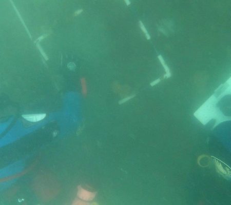 Underwater surveyor training